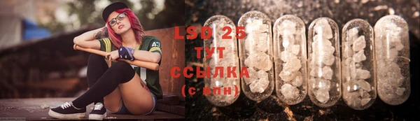 индика Беломорск