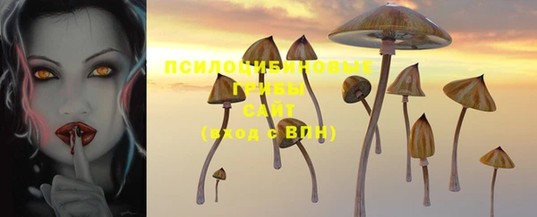 jwh Бородино