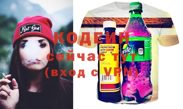 индика Беломорск