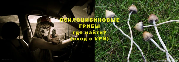 мет Белокуриха