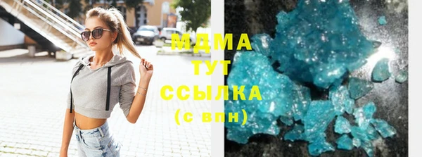 индика Беломорск