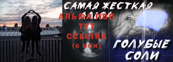 индика Беломорск