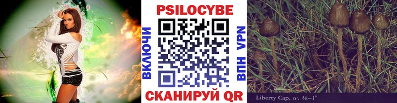 Галлюциногенные грибы мицелий  цена   Губкинский 