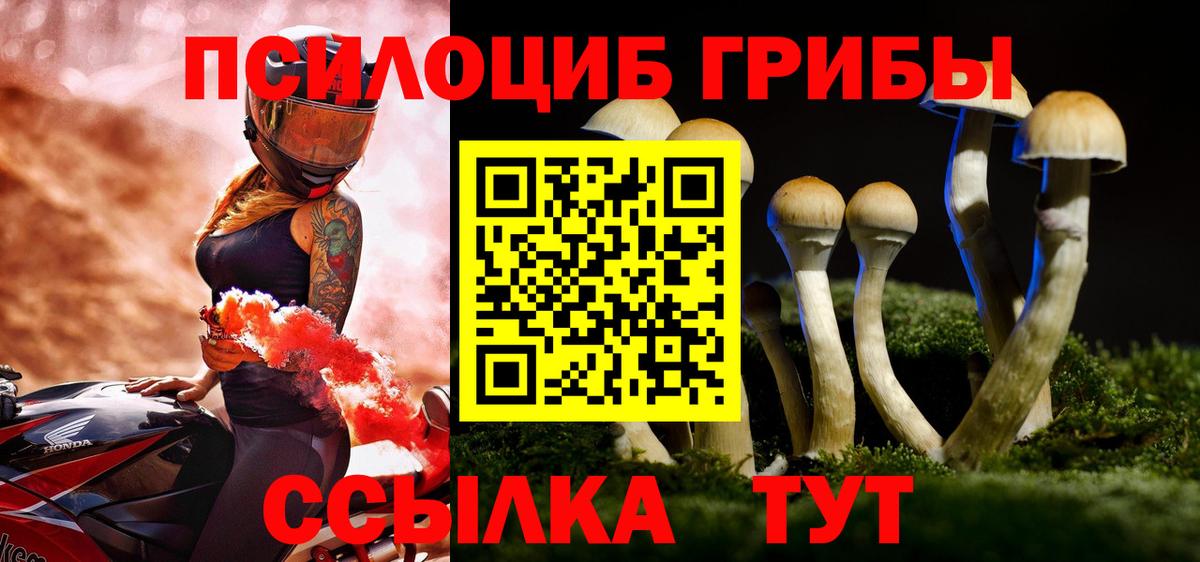 Галлюциногенные грибы ЛСД  Вход с VPN  Галлюциногенные грибы Cubensis  Губкинский 